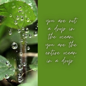 De kracht van meditatie                          